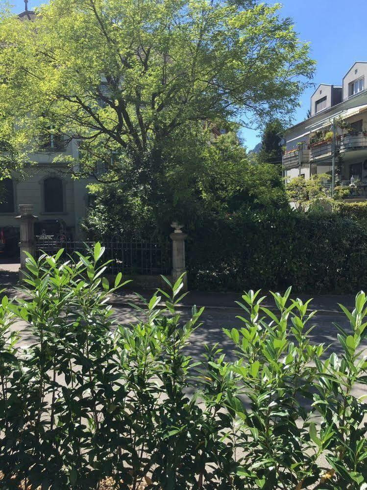 Interlaken Linda Inn Lodge Ngoại thất bức ảnh